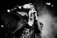 2006-06-16 - The Strokes från Hultsfredsfestivalen, Hultsfred