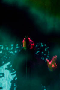 2006-03-30 - The Knife från Mejeriet, Lund