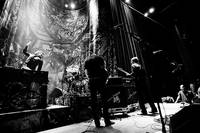 2007-02-20 - Mando Diao från Nalen, Stockholm