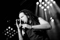 2007-06-14 - Korn från Hultsfredsfestivalen, Hultsfred