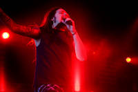 2007-06-14 - Korn från Hultsfredsfestivalen, Hultsfred