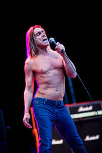 2007-06-30 - Iggy & The Stooges från Peace & Love, Borlänge