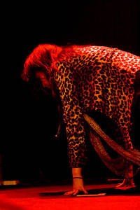 2008-03-28 - The Kills från Umeå Open, Umeå