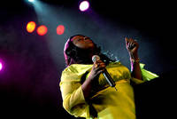 2008-04-24 - Angie Stone från Trädgår'n, Göteborg