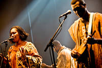 2008-06-05 - Bassekou Kouyate & Ngoni Ba från Kägelbanan, Stockholm