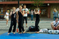 2008-06-27 - Områdesbilder från Peace & Love, Borlänge