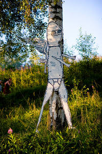 2008-07-25 - Områdesbilder från Skankaloss, Gagnef