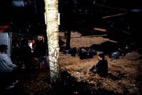 2008-08-02 - Områdesbilder från Putte i Parken, Karlskoga