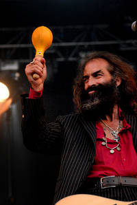 2008-08-08 - Grinderman från Way Out West, Göteborg