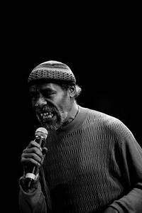 2008-08-15 - The Last Poets från Kulturfestivalen, Stockholm