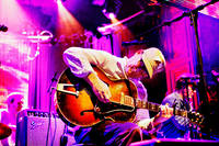 2008-11-22 - Lambchop från Berns, Stockholm