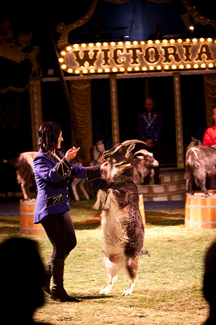2009-05-01 - Cirkus Wictoria från Råcksta Rondellen, Stockholm