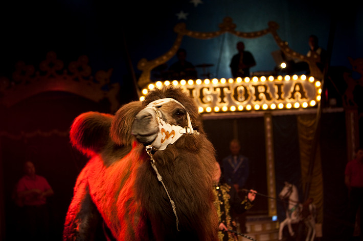2009-05-01 - Cirkus Wictoria från Råcksta Rondellen, Stockholm