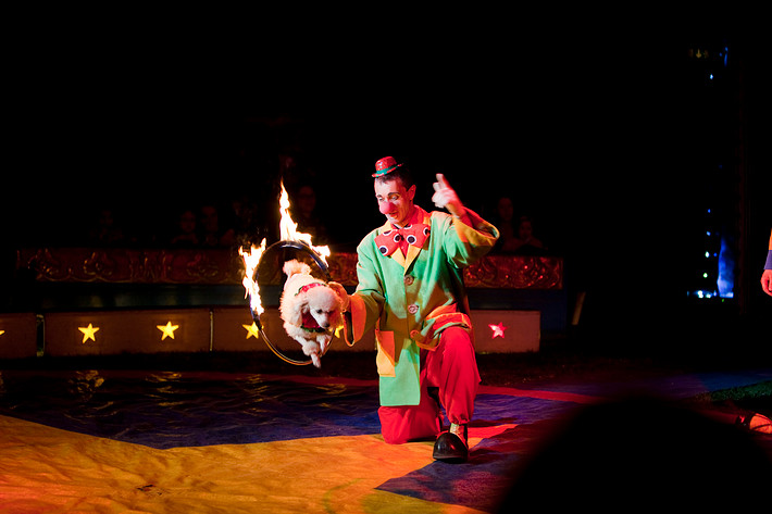 2009-05-01 - Cirkus Wictoria från Råcksta Rondellen, Stockholm