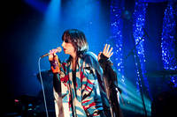 2009-05-08 - Yeah Yeah Yeahs från Debaser Medis, Stockholm