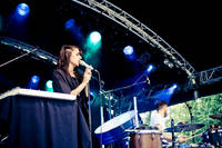 2009-05-29 - Wildbirds & Peacedrums från Siesta!, Hässleholm