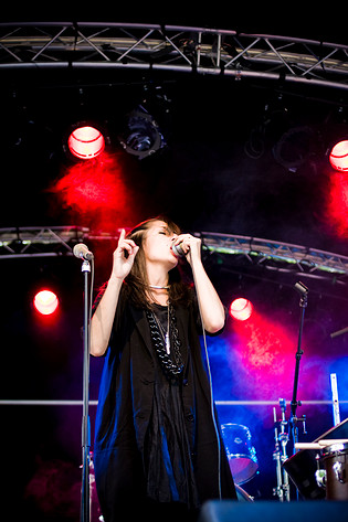 2009-05-29 - Wildbirds & Peacedrums från Siesta!, Hässleholm