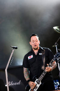 2009-06-25 - Volbeat från Peace & Love, Borlänge
