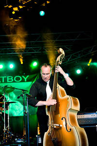 2009-06-26 - Fatboy från Peace & Love, Borlänge