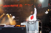 2009-07-02 - Petter från Roskildefestivalen, Roskilde