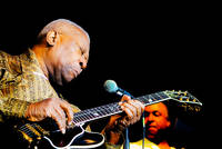 2009-07-03 - BB King från Trädgår'n, Göteborg