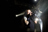 2009-07-04 - Korn från Arvikafestivalen, Arvika