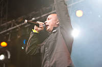 2009-07-11 - Petter från Hultsfredsfestivalen, Hultsfred
