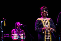 2009-08-15 - Amadou & Mariam från Way Out West, Göteborg