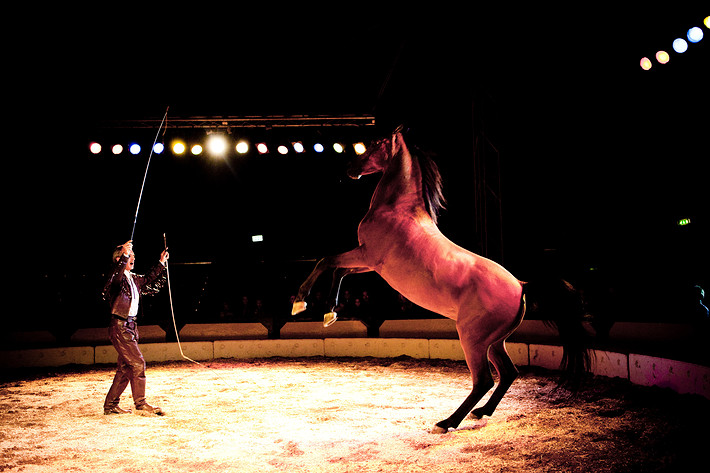 2009-09-05 - Cirkus Skratt från Gärdet, Stockholm