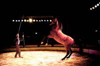 2009-09-05 - Cirkus Skratt från Gärdet, Stockholm
