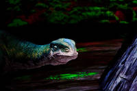 2009-10-09 - Walking With Dinosaurs - The Arena Spectacular från Scandinavium, Göteborg