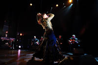 2009-11-08 - Puerto Flamenco från Södra Teatern, Stockholm