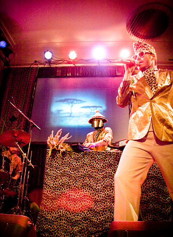 2010-01-23 - Gazelle från Södra bar, Stockholm