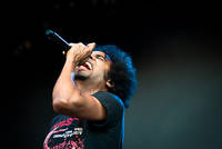 2010-07-01 - Alice in Chains från Peace & Love, Borlänge