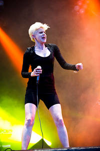 2010-07-01 - Robyn från Peace & Love, Borlänge