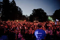 2010-07-01 - Miike Snow från Peace & Love, Borlänge