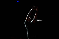 2010-07-02 - Jay-Z från Peace & Love, Borlänge