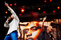 2010-07-07 - Nas & Damian Marley från Gröna Lund, Stockholm