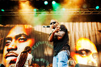 2010-07-07 - Nas & Damian Marley från Gröna Lund, Stockholm