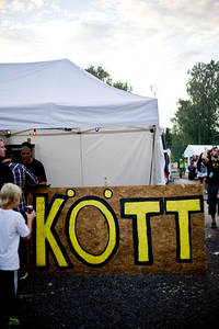 2010-07-15 - Områdesbilder från Arvikafestivalen, Arvika