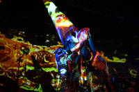 2010-07-26 - Skinny Puppy från Sticky Fingers, Göteborg