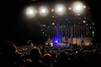 2010-07-31 - Danko Jones från Putte i Parken, Karlskoga