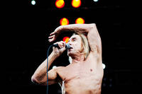 2010-08-07 - Iggy & The Stooges från Sonisphere Stockholm, Stockholm