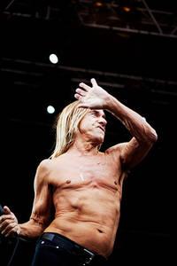 2010-08-07 - Iggy & The Stooges från Sonisphere Stockholm, Stockholm