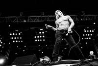2010-08-07 - Iggy & The Stooges från Sonisphere Stockholm, Stockholm