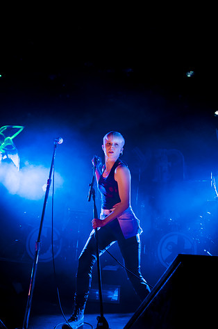 2010-12-17 - Robyn från Trädgår'n, Göteborg