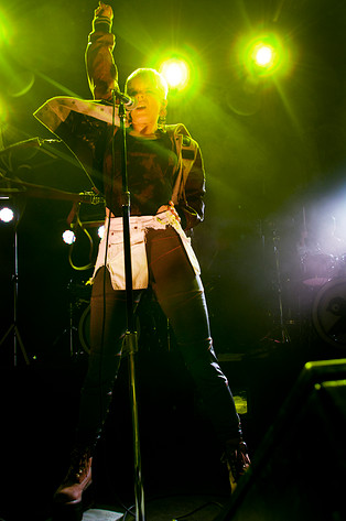 2010-12-17 - Robyn från Trädgår'n, Göteborg