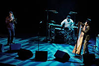 2011-03-19 - Edmar Castañeda från Södra Teatern, Stockholm