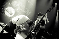 2011-04-01 - The Domestic Bumbelbees från Debaser Medis, Stockholm