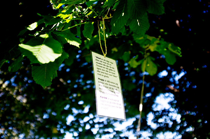 2011-06-29 - Områdesbilder från Peace & Love, Borlänge